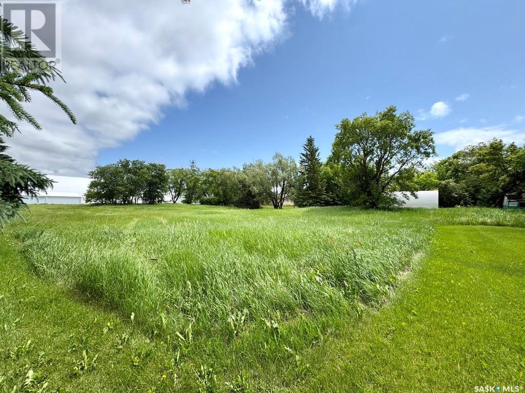 202 Persson Street, Stockholm, Saskatchewan  S0A 3Y0 - Photo 5 - SK009466