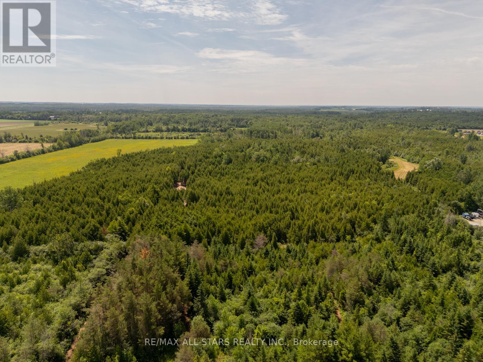 28099 Highway 48, Georgina, Ontario  L0E 1N0 - Photo 29 - N12252142