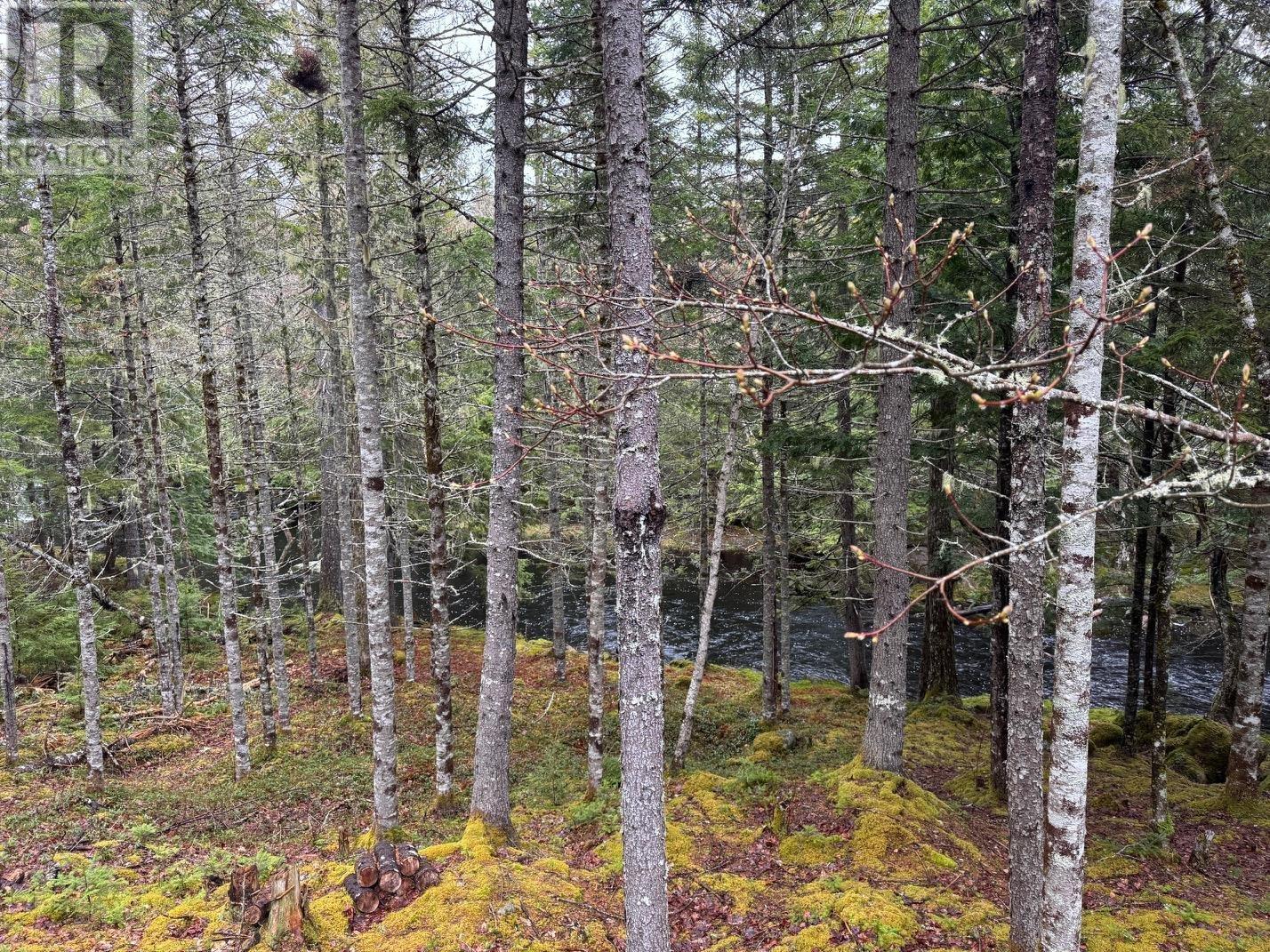 Lot 60 Pioneer Drive, Vaughan, Nova Scotia  B0N 1T0 - Photo 20 - 202510506