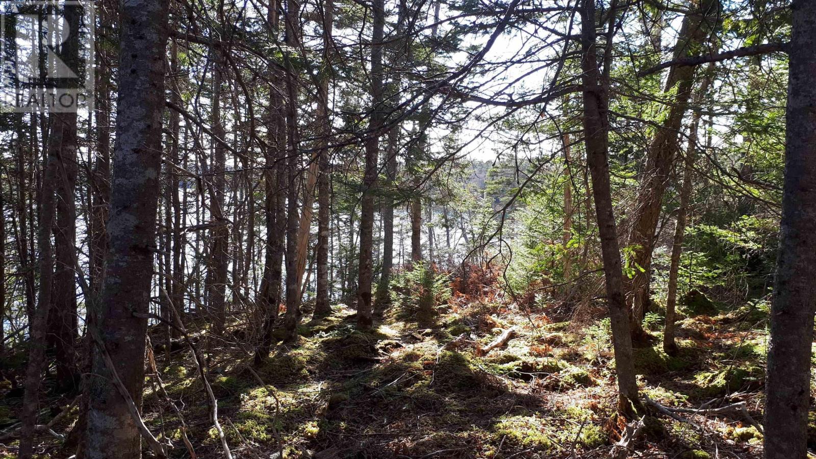 Lot 1a Birch Crescent, Cape George Estates, Nova Scotia  B0E 3B0 - Photo 11 - 202516361