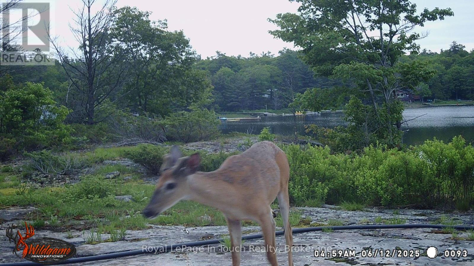 6980 Island 1810, Georgian Bay, Ontario  P0E 1E0 - Photo 26 - X12230985