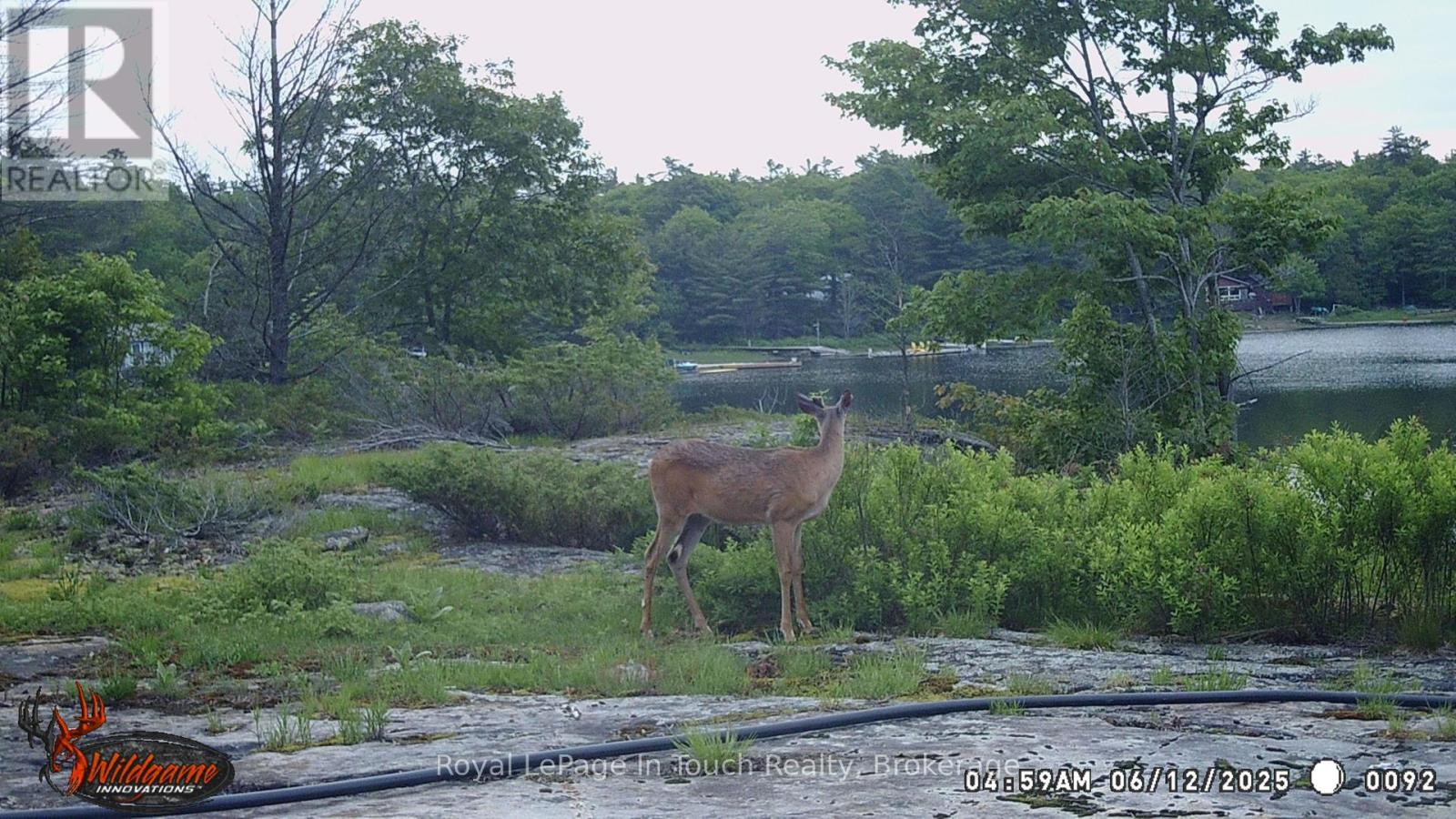 6980 Island 1810, Georgian Bay, Ontario  P0E 1E0 - Photo 27 - X12230985