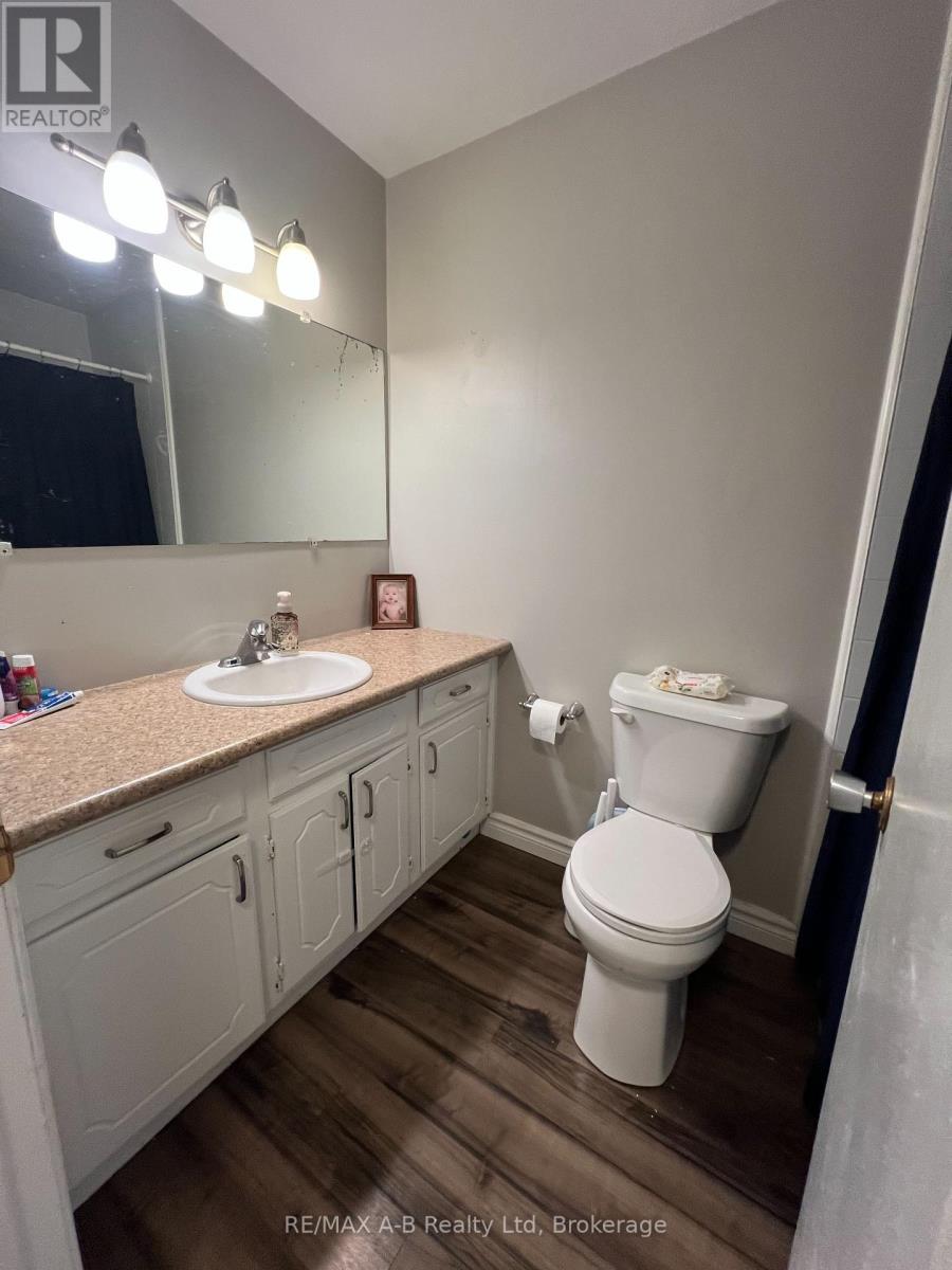 74 Adam Street, East Zorra-Tavistock (Tavistock), Ontario  N0B 2R0 - Photo 17 - X12148689