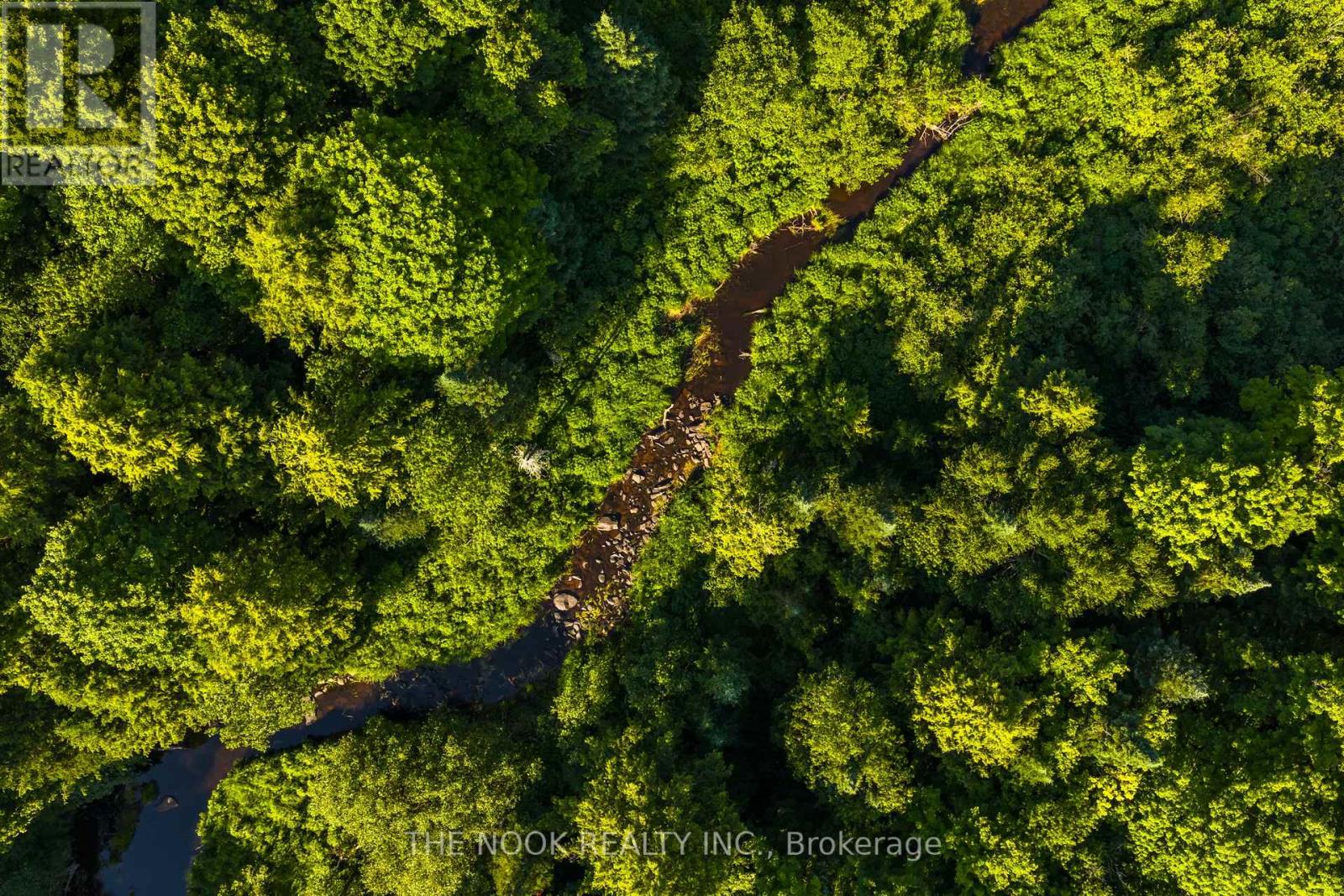 12482 Highway 28 Road, North Kawartha, Ontario  K0L 1A0 - Photo 36 - X12258112