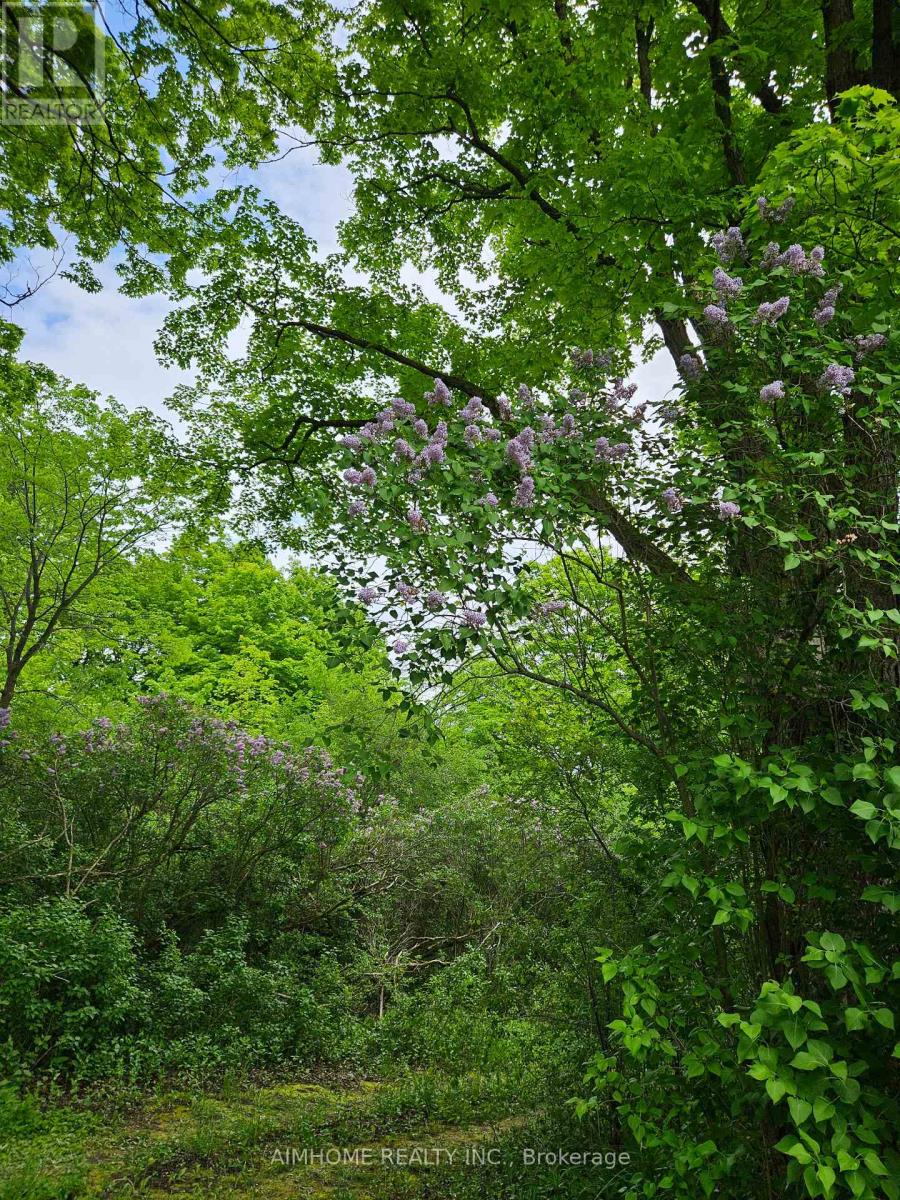10400 And 10800 6th Concession, Uxbridge, Ontario  L9P 1R2 - Photo 13 - N12081335