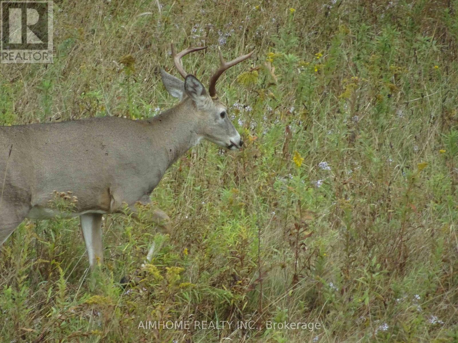10400 And 10800 6th Concession, Uxbridge, Ontario  L9P 1R2 - Photo 19 - N12081335