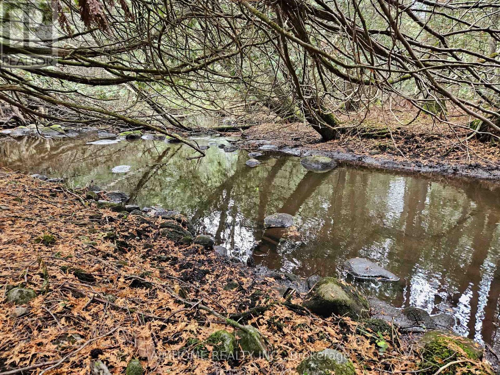 10400 And 10800 6th Concession, Uxbridge, Ontario  L9P 1R2 - Photo 6 - N12081335