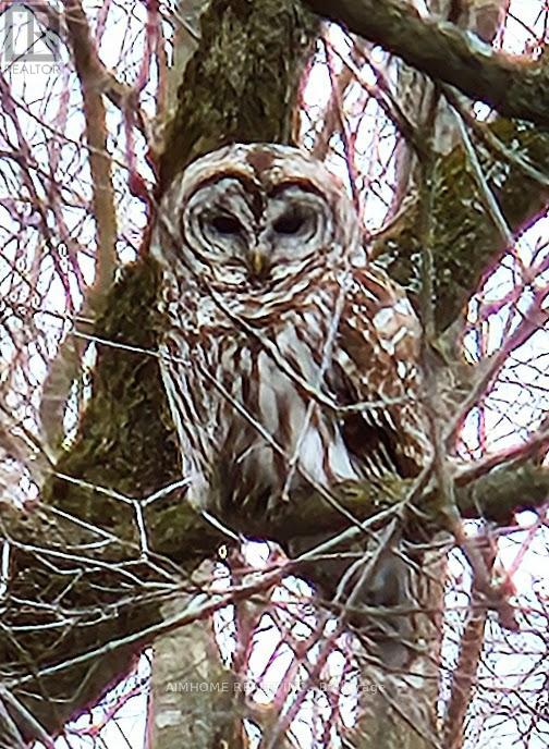 10400 And 10800 6th Concession, Uxbridge, Ontario  L9P 1R2 - Photo 28 - N12081335