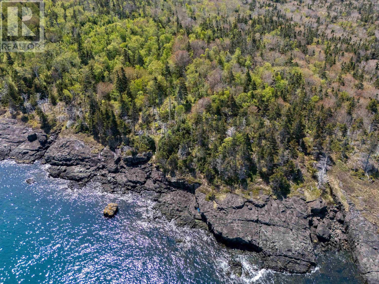 Bay Of Fundy Land, Whale Cove, Nova Scotia  B0V 1E0 - Photo 9 - 202512691