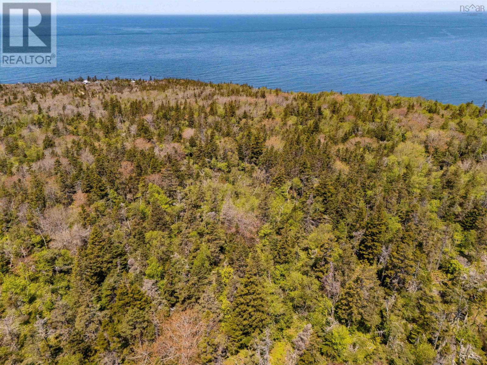 Bay Of Fundy Land, Whale Cove, Nova Scotia  B0V 1E0 - Photo 10 - 202512691