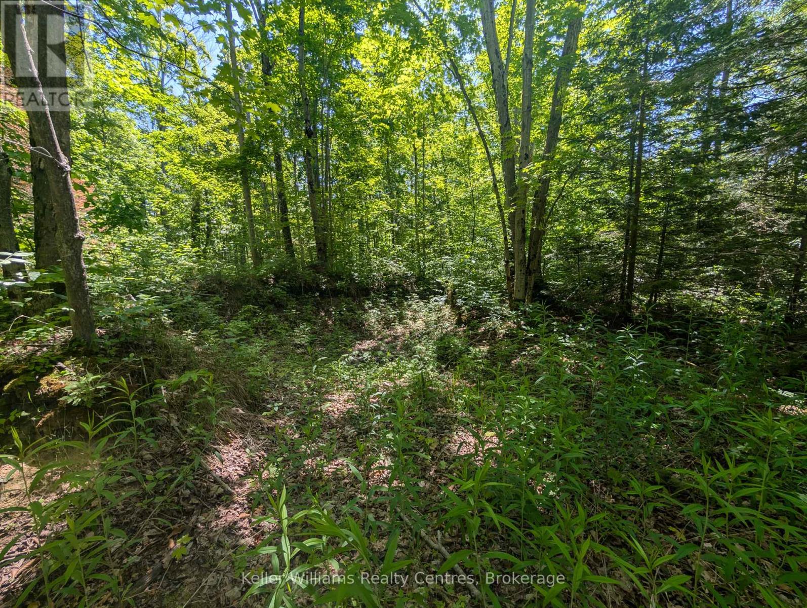 590-608 Huron Road, South Bruce Peninsula, Ontario  N0H 2T0 - Photo 18 - X12247786