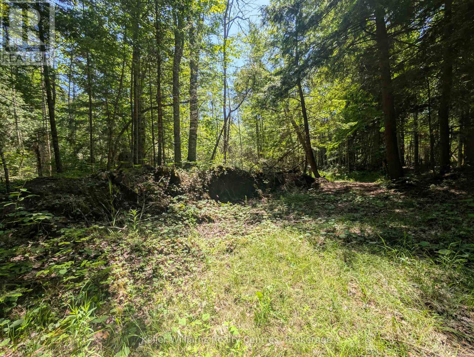 590-608 Huron Road, South Bruce Peninsula, Ontario  N0H 2T0 - Photo 27 - X12247786