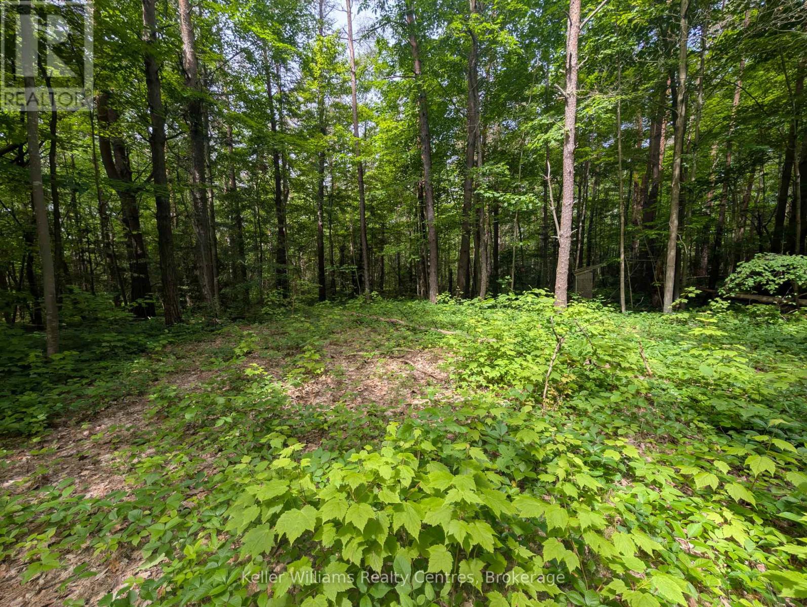 590-608 Huron Road, South Bruce Peninsula, Ontario  N0H 2T0 - Photo 15 - X12247786