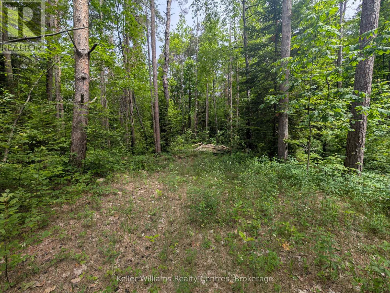 590-608 Huron Road, South Bruce Peninsula, Ontario  N0H 2T0 - Photo 42 - X12247786