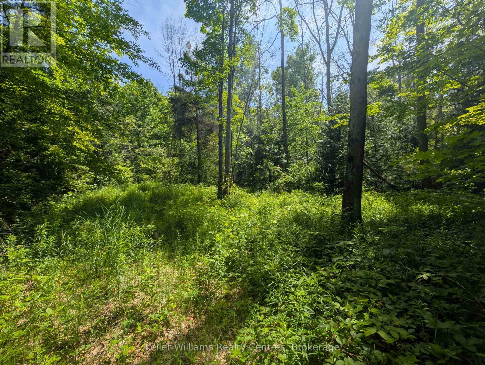 590-608 Huron Road, South Bruce Peninsula, Ontario  N0H 2T0 - Photo 32 - X12247786