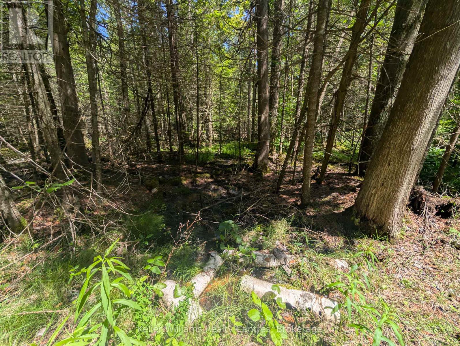 590-608 Huron Road, South Bruce Peninsula, Ontario  N0H 2T0 - Photo 49 - X12247786