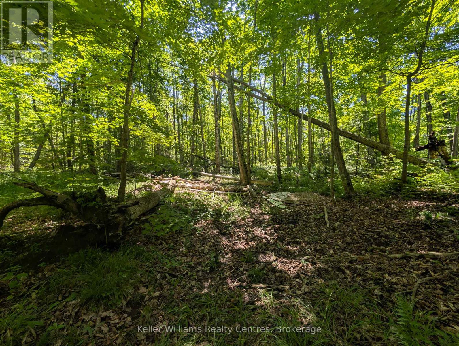 590-608 Huron Road, South Bruce Peninsula, Ontario  N0H 2T0 - Photo 44 - X12247786