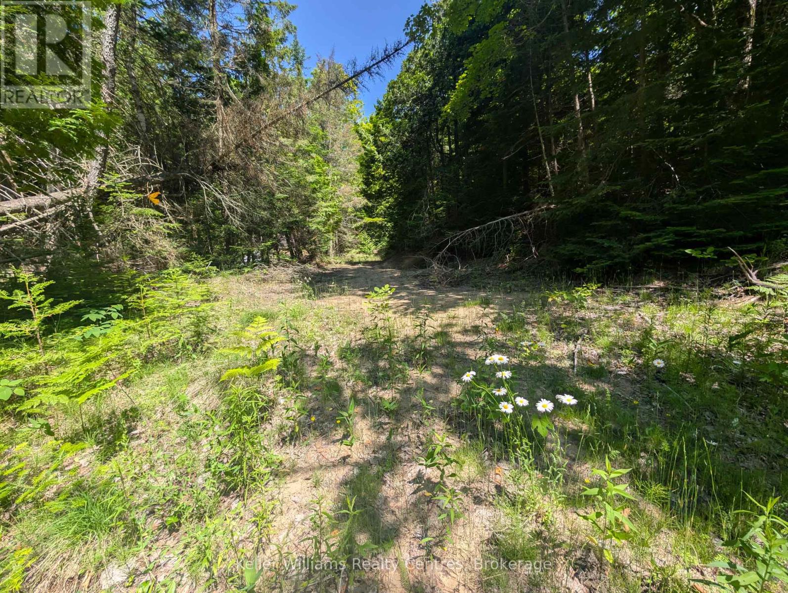 590-608 Huron Road, South Bruce Peninsula, Ontario  N0H 2T0 - Photo 50 - X12247786