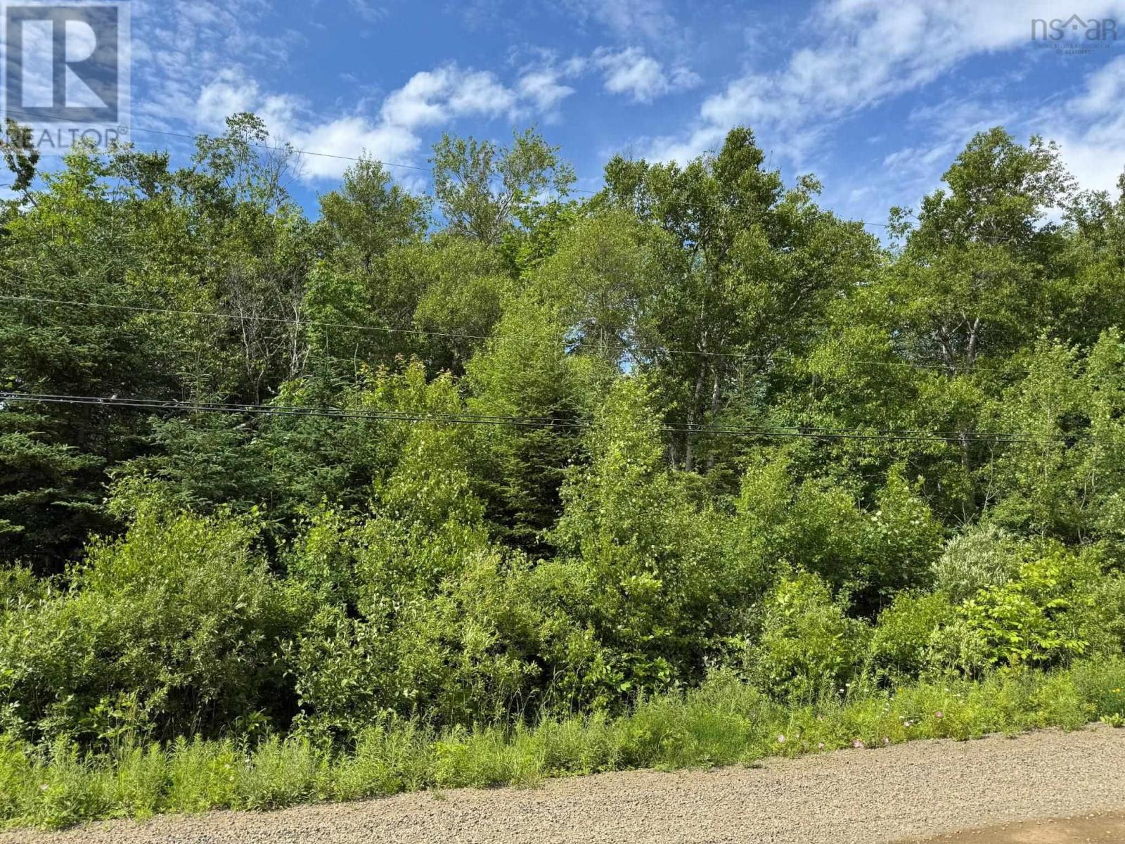 Lot 2001 Long Beach Road, Glenmont, Nova Scotia  B0P 1H0 - Photo 7 - 202516393