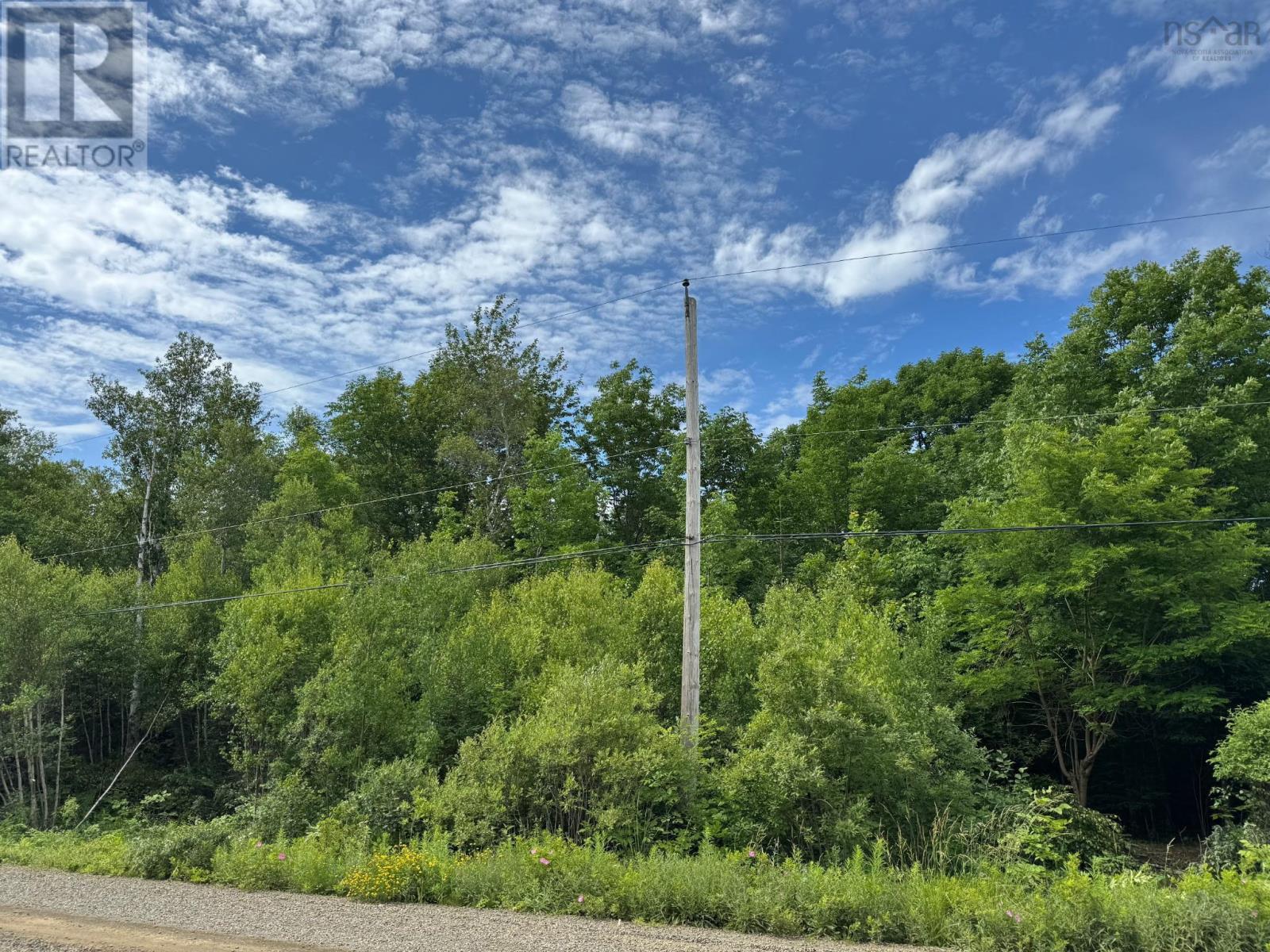 Lot 2001 Long Beach Road, Glenmont, Nova Scotia  B0P 1H0 - Photo 4 - 202516393