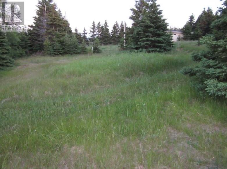 480 West Side Road, Greens Harbour, Newfoundland & Labrador  A0B 1X0 - Photo 3 - 1287274