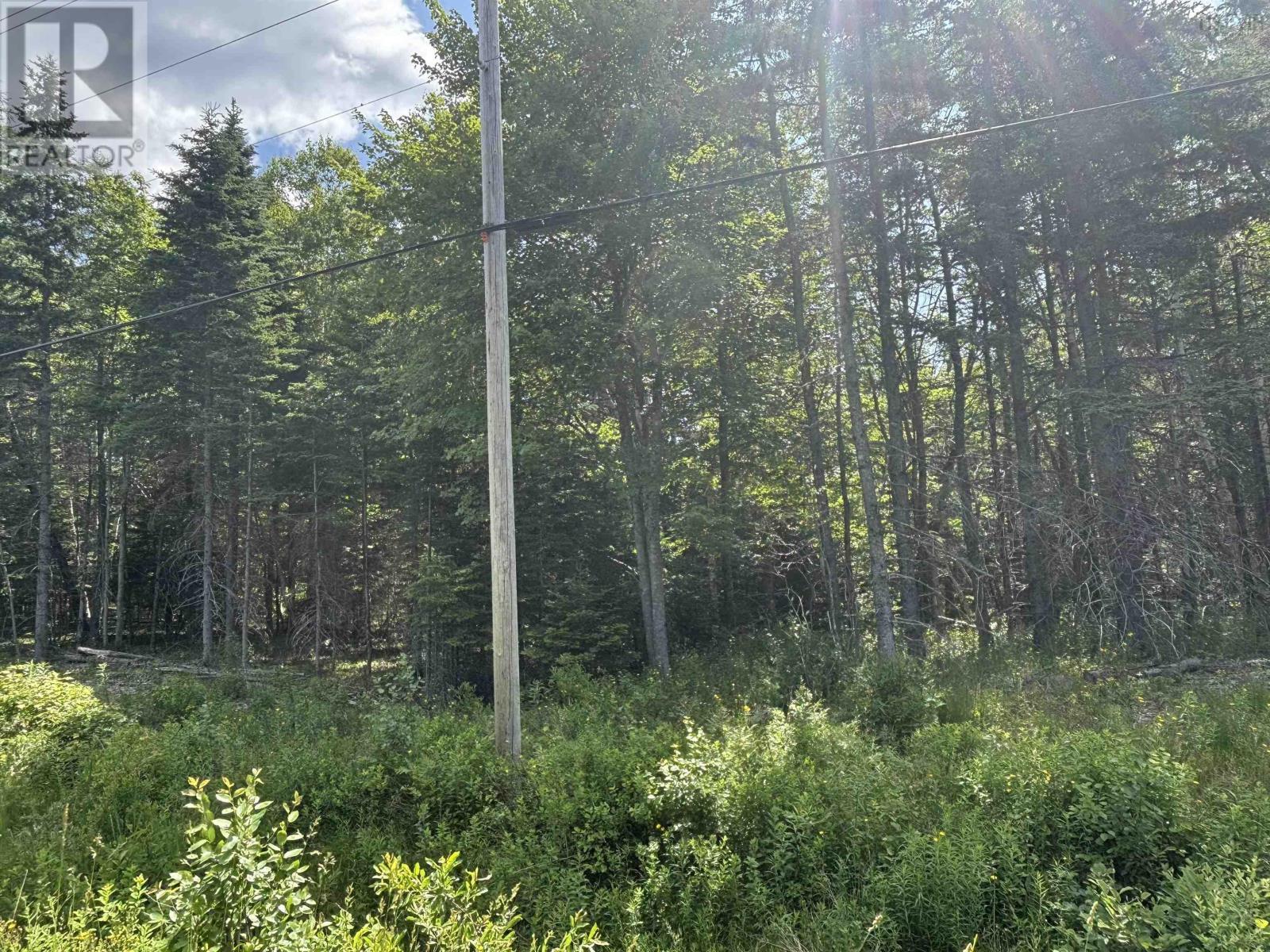 Property at LOT Beechmont Road image