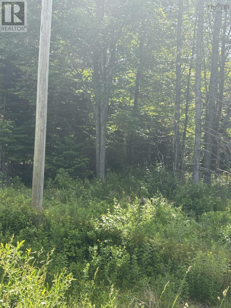 Property at LOT Beechmont Road image