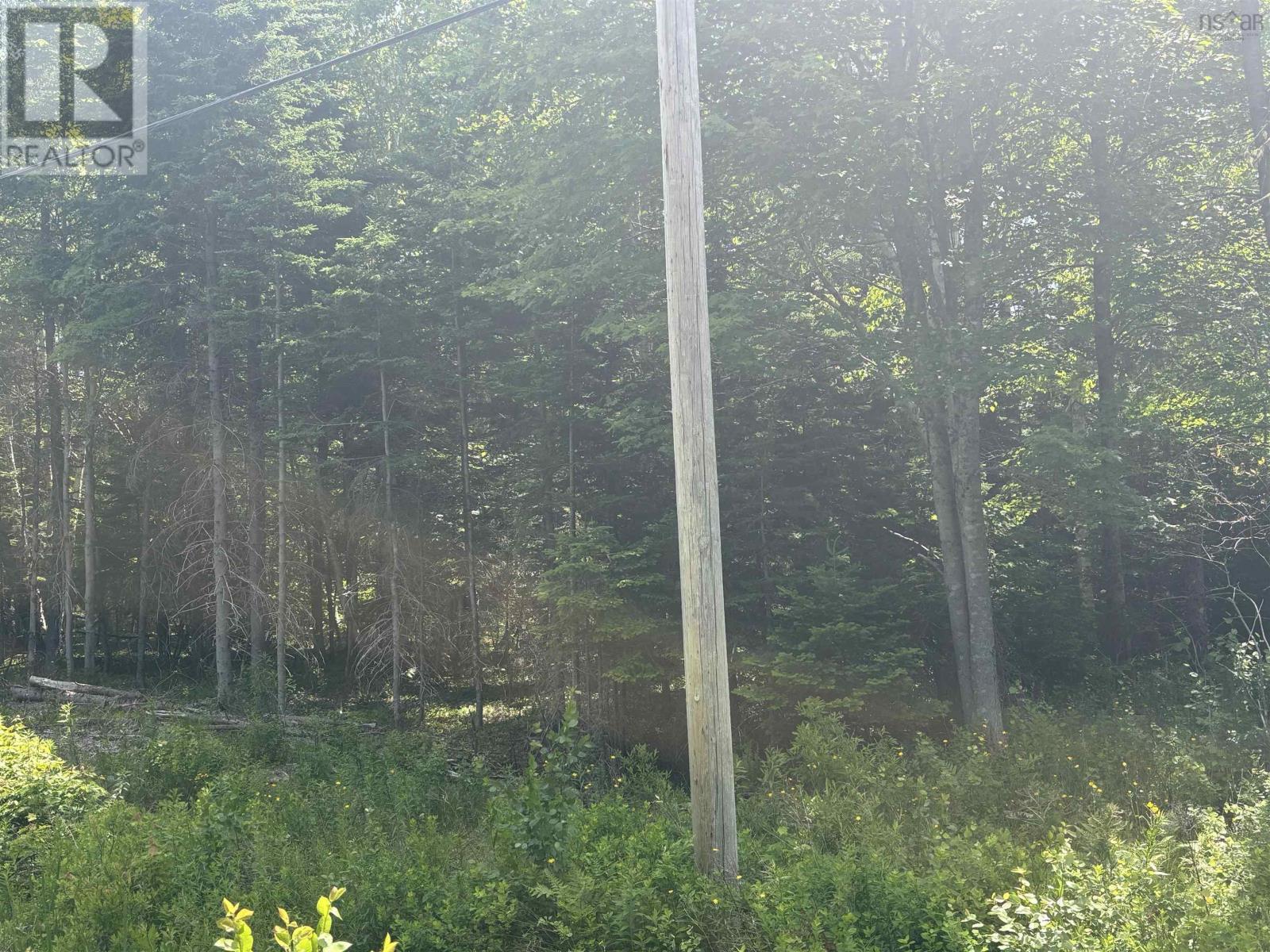 Property at LOT Beechmont Road image