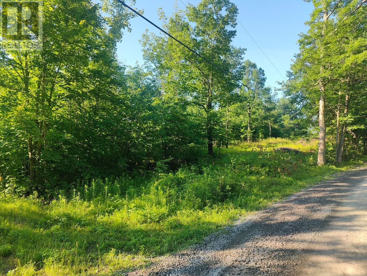 621A COOK ROAD, Marmora and Lake (Lake Ward)