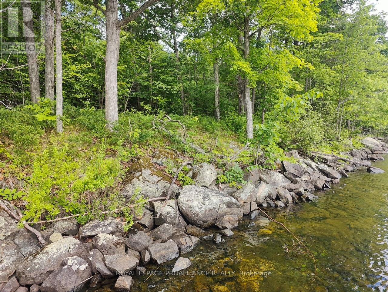 621b Cook Road, Marmora And Lake, Ontario  K0K 2M0 - Photo 12 - X12247361