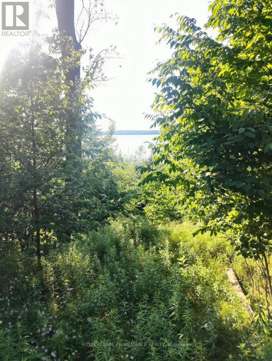 621b Cook Road, Marmora And Lake, Ontario  K0K 2M0 - Photo 6 - X12247361