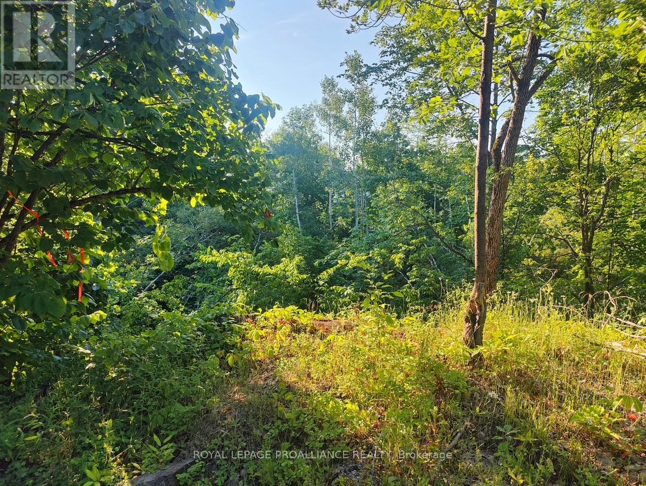 621b Cook Road, Marmora And Lake, Ontario  K0K 2M0 - Photo 9 - X12247361