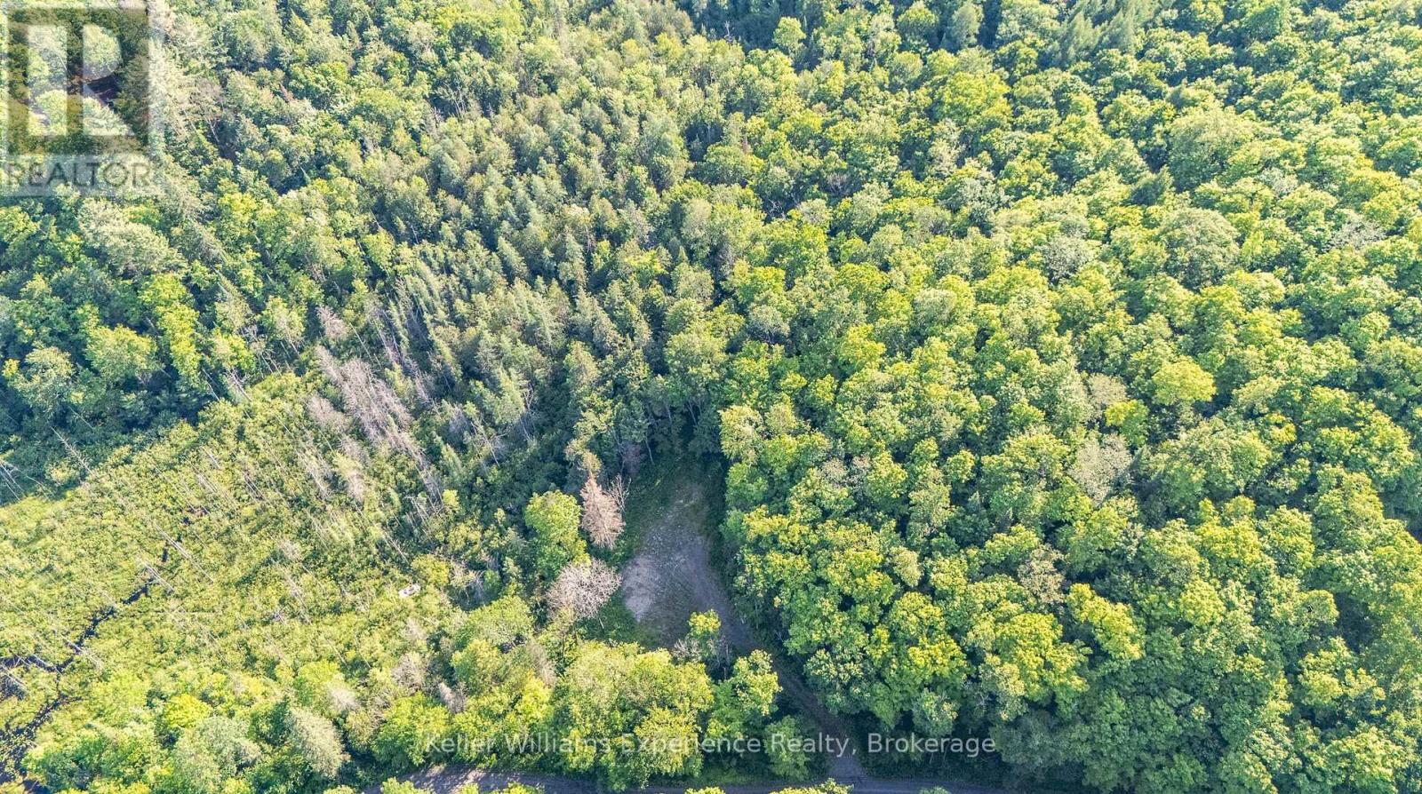 344 North Fox Lake Road, Huntsville, Ontario  P1H 2J2 - Photo 6 - X12259094