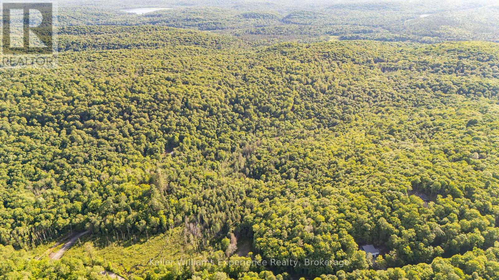 344 North Fox Lake Road, Huntsville, Ontario  P1H 2J2 - Photo 7 - X12259094