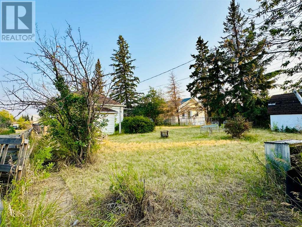 4916 48 Street, Hardisty, Alberta  T0B 1V0 - Photo 5 - A2209329