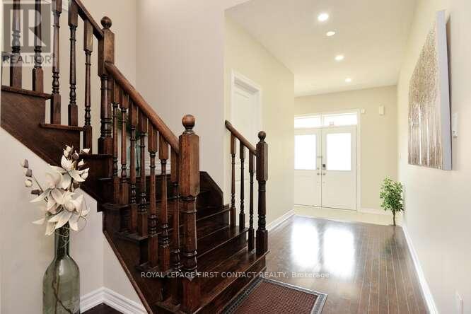 Property at 24 BACHELOR STREET image 5