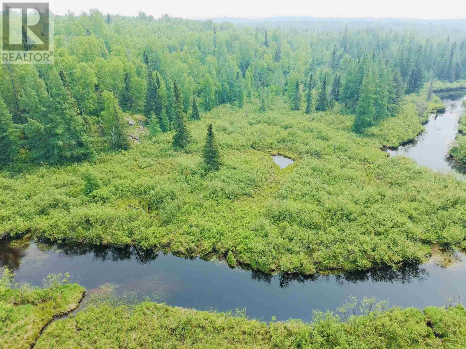 Pcl 9328 Basket Lake Rd, Revell, Ontario  P0T 1T0 - Photo 3 - TB251963