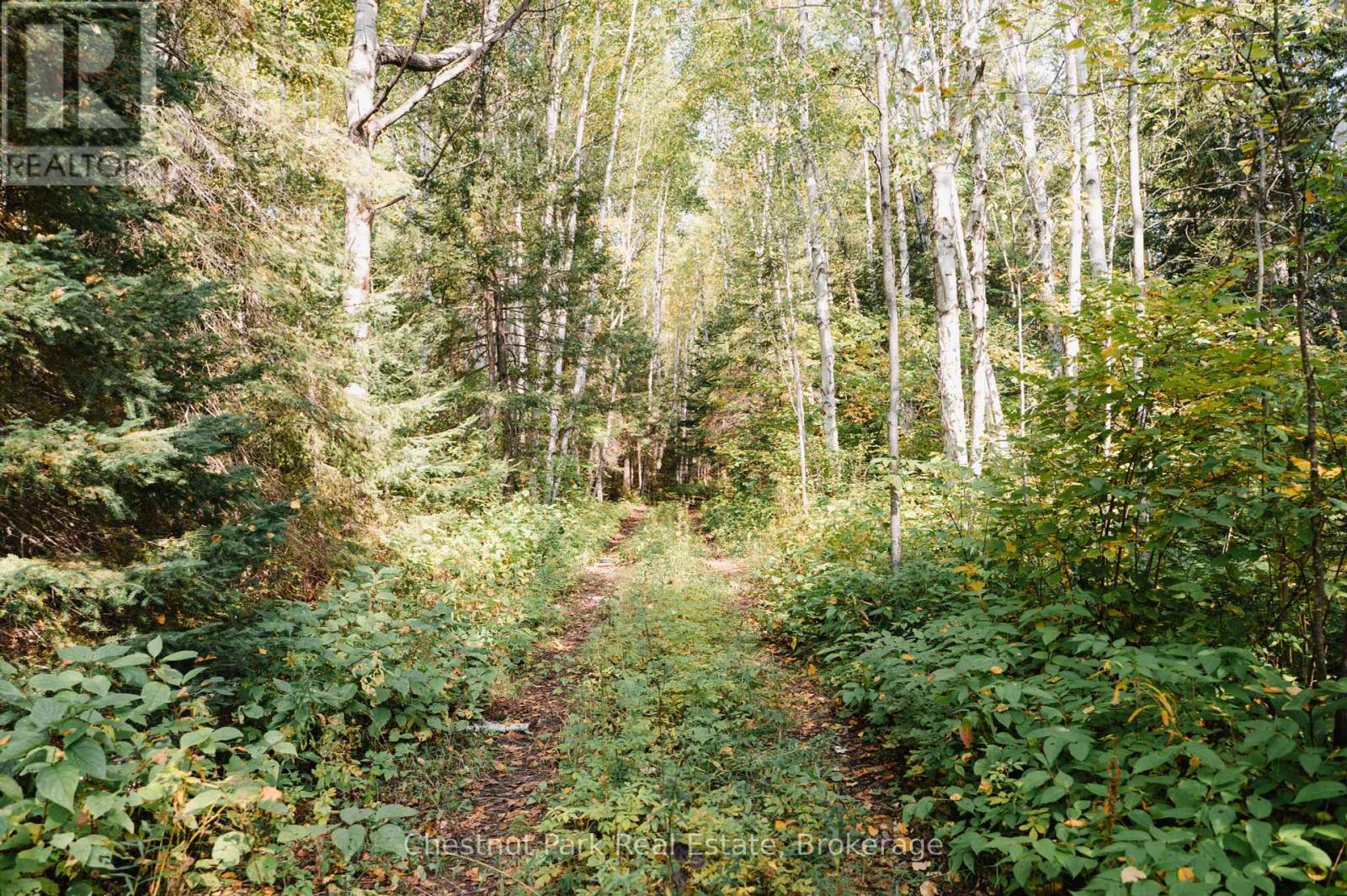 445 Fox Run, Temagami, Ontario  P0H 2H0 - Photo 13 - X12259676