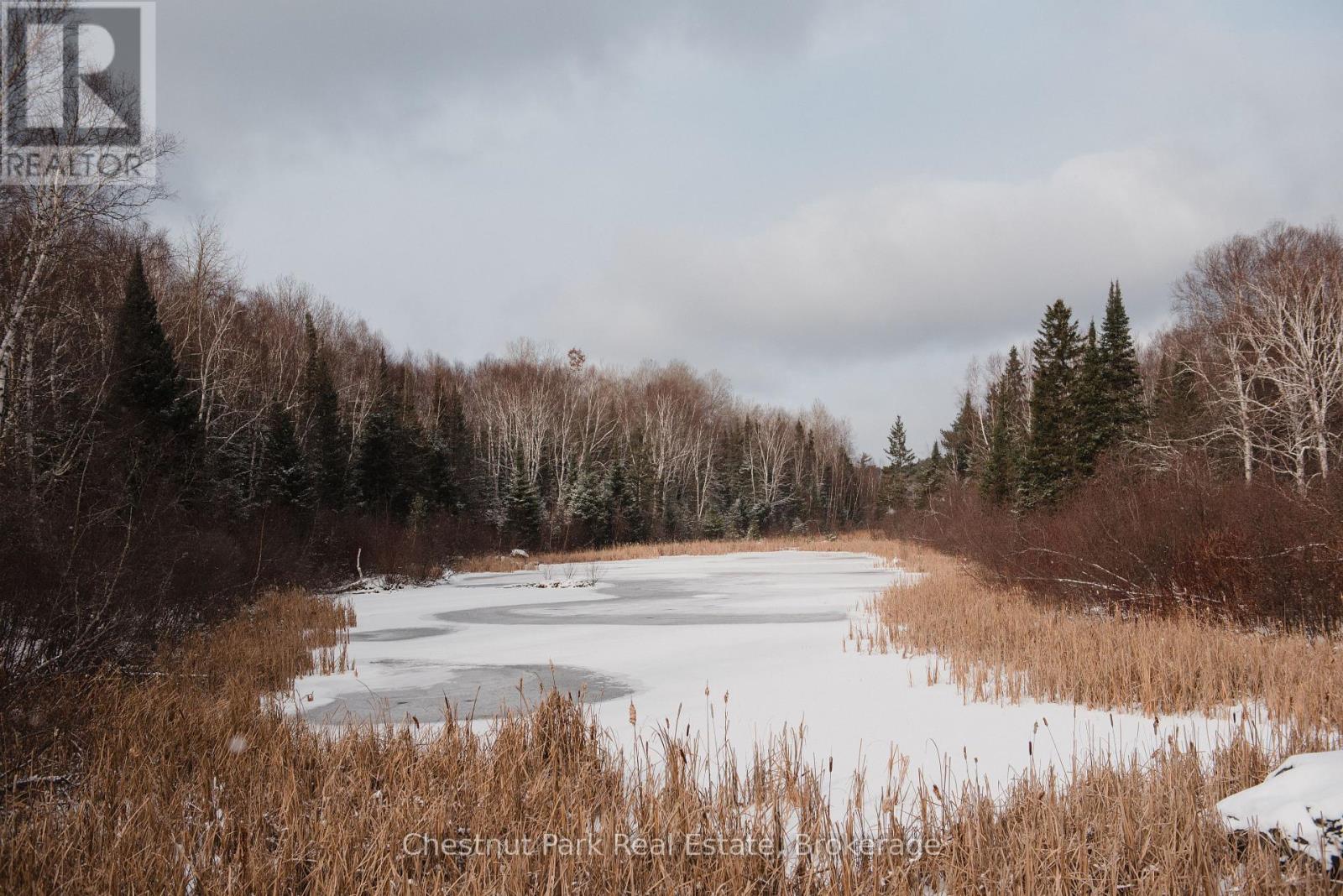 445 Fox Run, Temagami, Ontario  P0H 2H0 - Photo 15 - X12259676