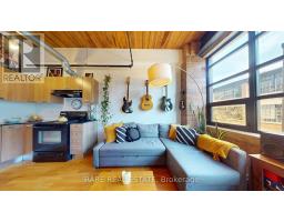 217 - 43 HANNA AVENUE, Toronto, Ontario