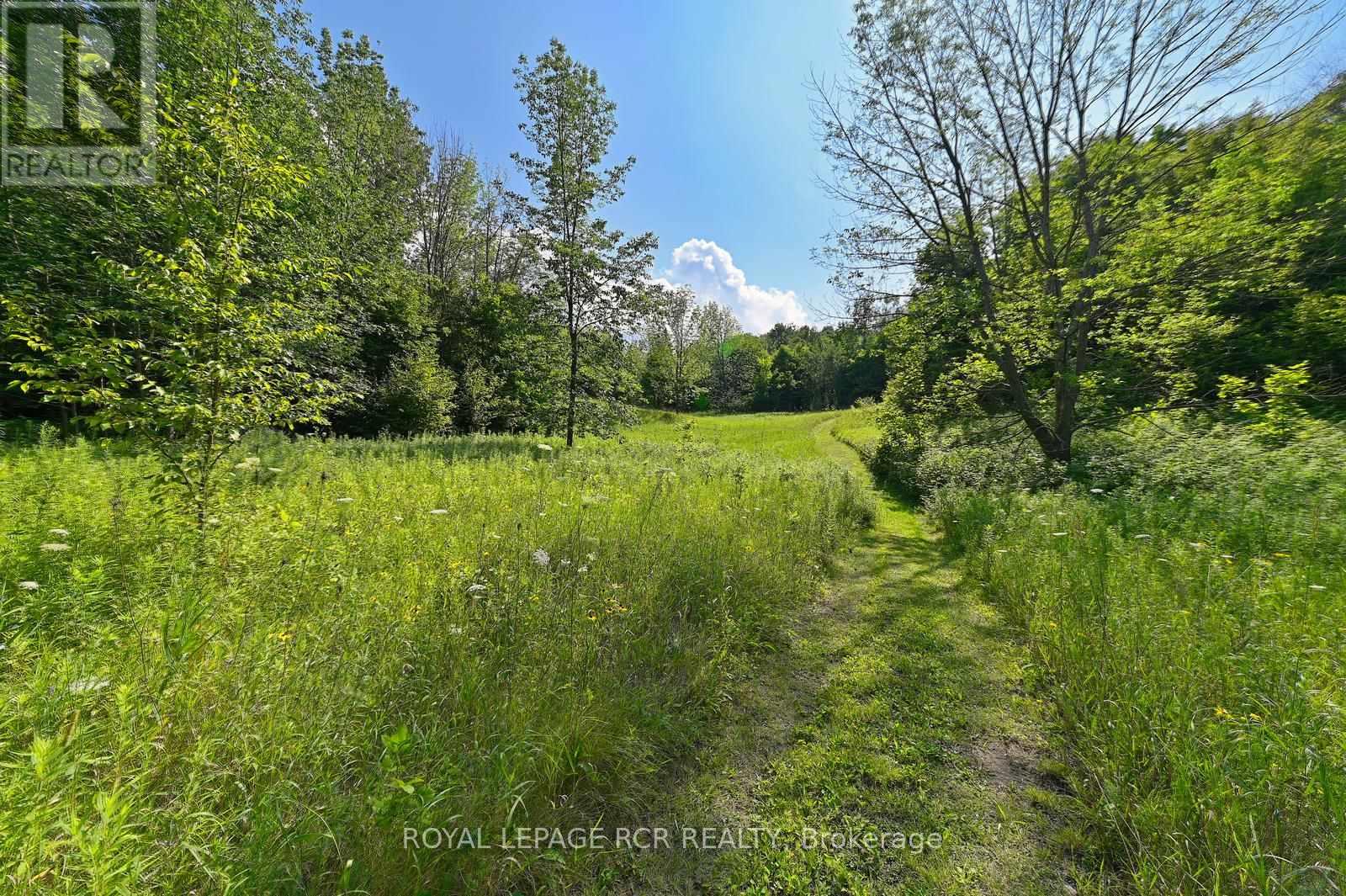757402 2nd Line E, Mulmur, Ontario  L9V 2V8 - Photo 31 - X12129460
