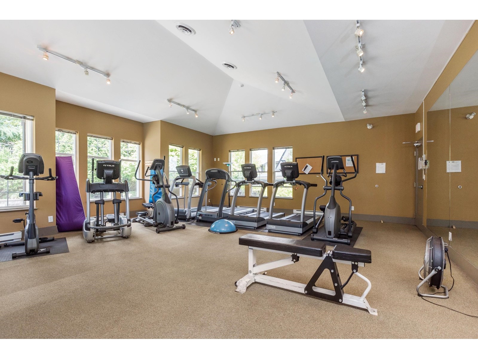 36 15155 62a Avenue, Surrey, British Columbia  V3S 8A6 - Photo 29 - R3022193