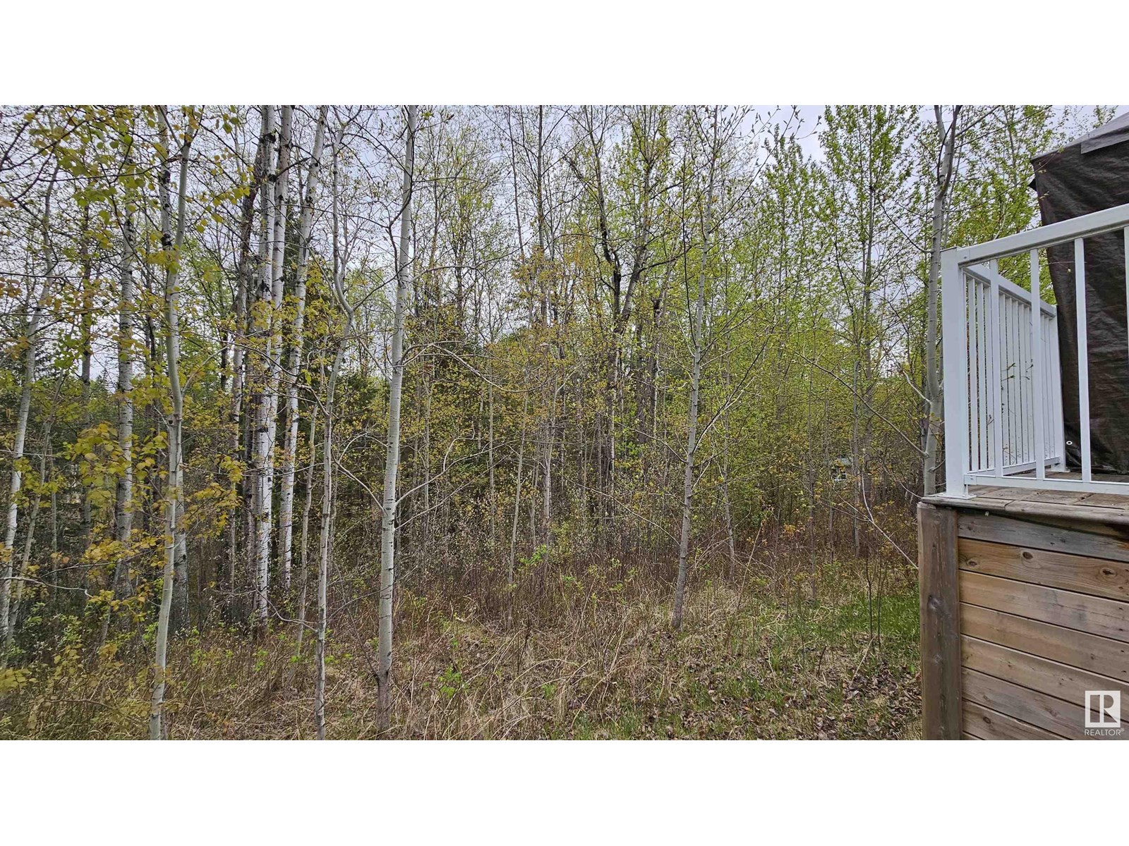 7 Andrew Dr, Rural Athabasca County, Alberta  T0A 0M0 - Photo 44 - E4445560