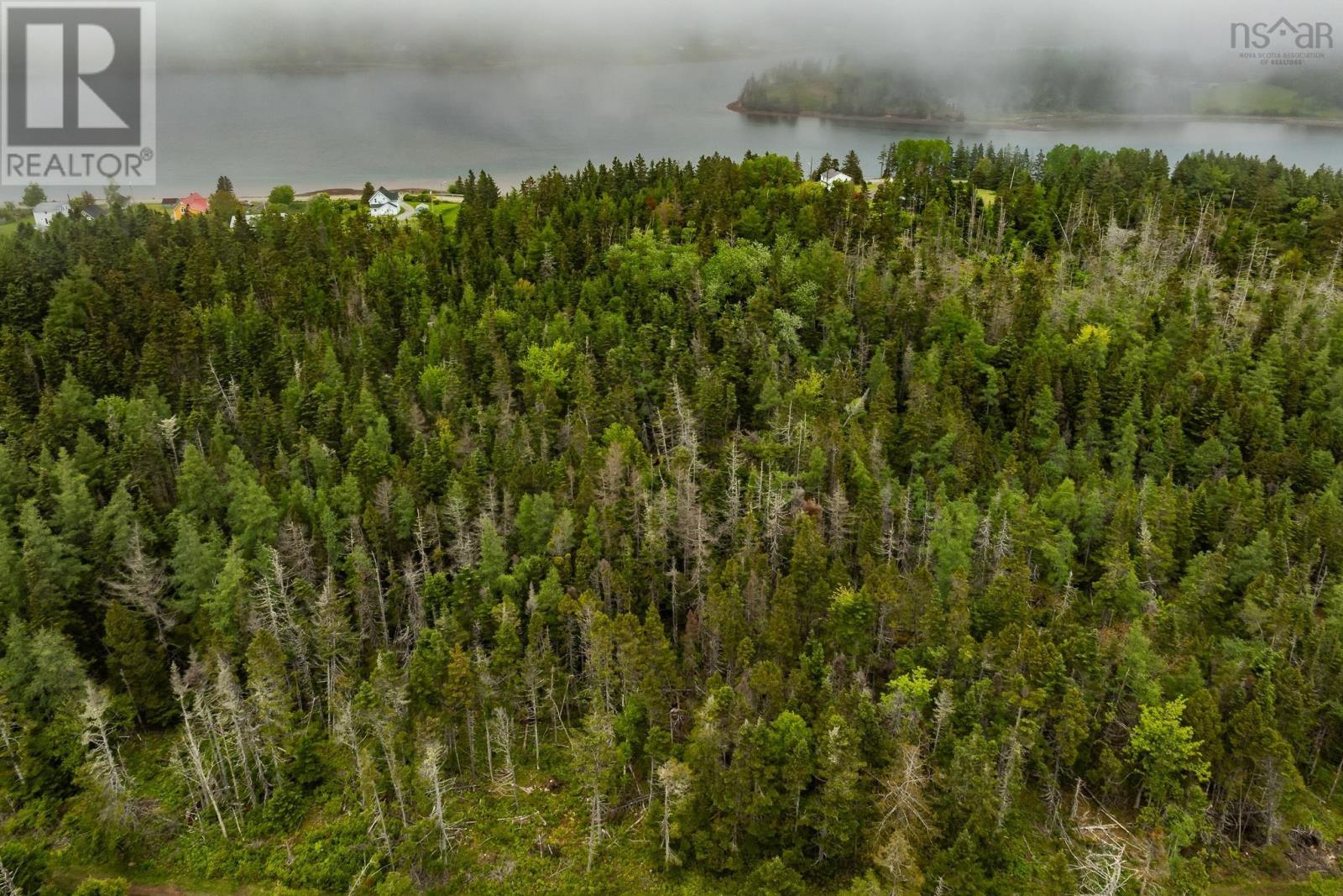 1 South Side River Bourgeois Road, River Bourgeois, Nova Scotia  B0E 2X0 - Photo 10 - 202514917