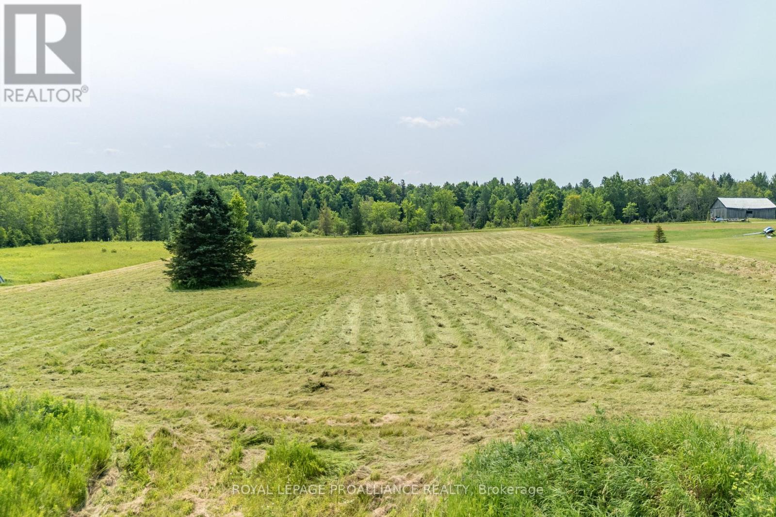 1226 Gull Lake Road, Frontenac (Frontenac North), Ontario  K0H 1B0 - Photo 3 - X11958174