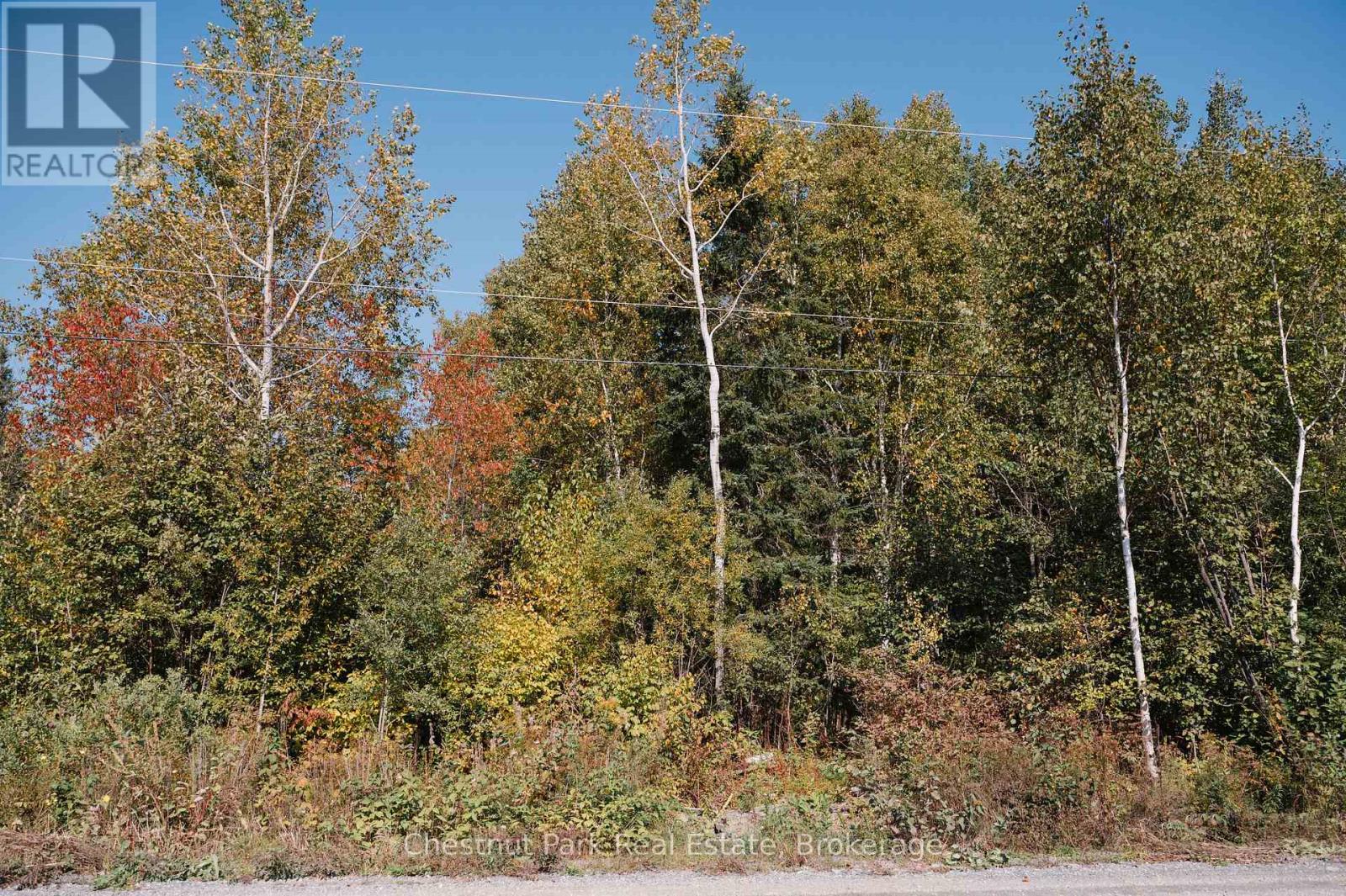 30 White Bear Court, Temagami, Ontario  P0H 2H0 - Photo 4 - X12260196