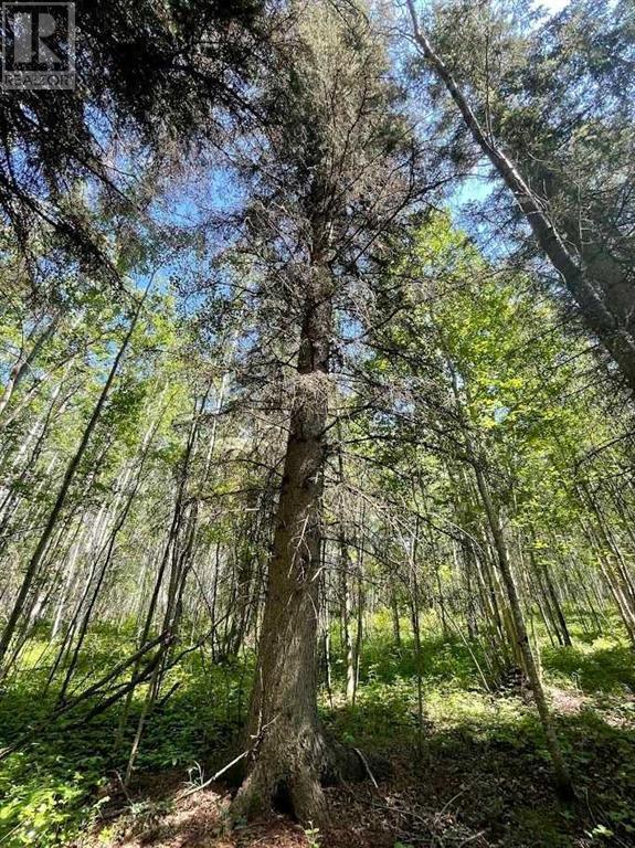 221054 670 Township, Rural Athabasca County, Alberta  T9S 2B5 - Photo 20 - A2234230