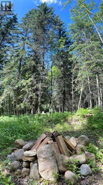 221054 670 Township, Rural Athabasca County, Alberta  T9S 2B5 - Photo 9 - A2234230