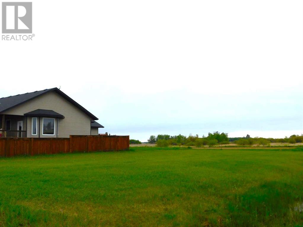 301 Niblock Street, Bawlf, Alberta  T0B 0J0 - Photo 3 - A2221999