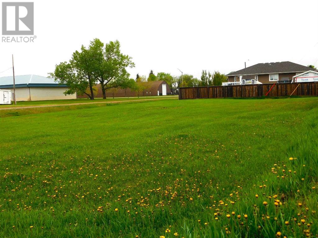 301 Niblock Street, Bawlf, Alberta  T0B 0J0 - Photo 2 - A2221999